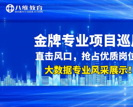 八维大数据金牌专业项目展示