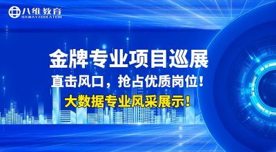 八维大数据金牌专业项目展示