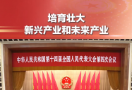 “两会”洞察 | 2026优质就业方向已明确，“政策+市场”双重加持