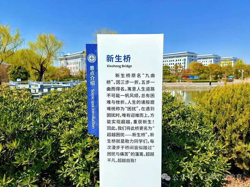 北京八维教育就业前景分析：2024年高薪就业的“隐形加速器”在哪里？