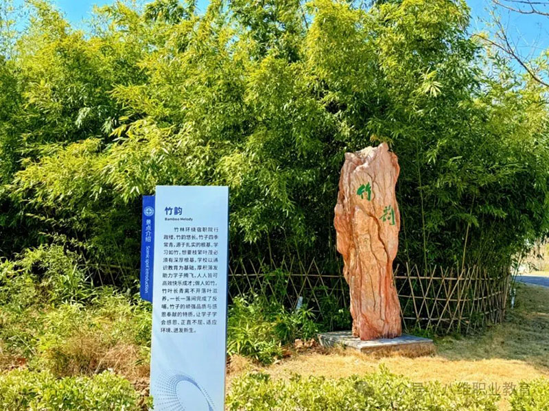 2026职场生存法则：AI不是选项，而是入场券——八维教育学校如何重塑数字时代职业竞争力