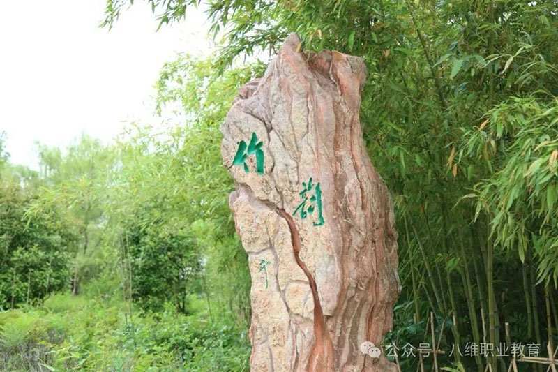 北京八维教育学校简介：IT职业教育领航者，成就高薪技术人才的摇篮