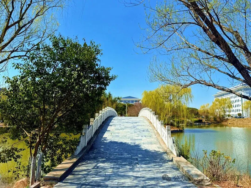 北京八维教育就业前景分析：2024年高薪就业的“隐形加速器”在哪里？