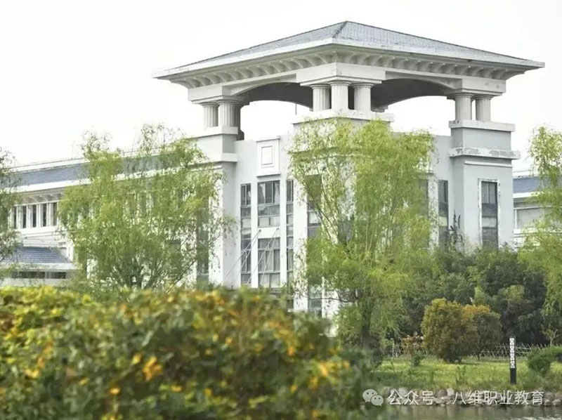 感恩不是“说谢谢”，而是点燃内驱力的火种——八维教育学校的文化密码