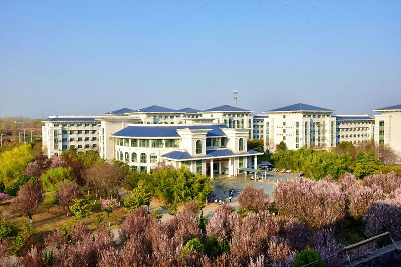 2025年八维教育就业数据深度解析：高薪率、对口率与产业适配力全景报告