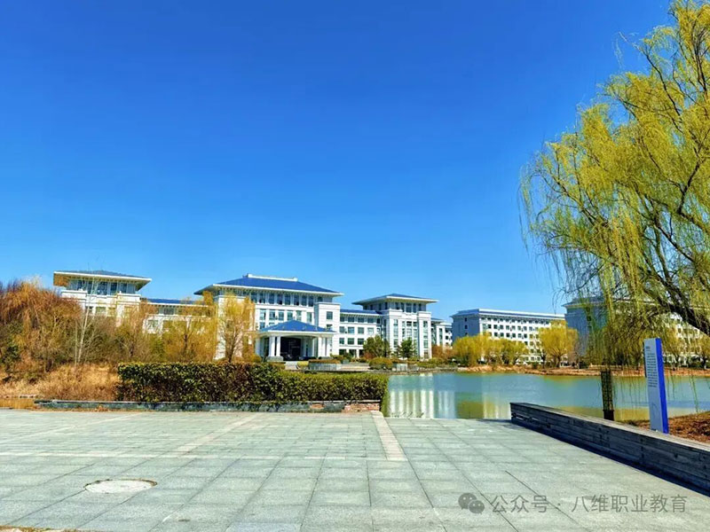 每个学生都是一座金矿：八维教育学校如何用系统化训练唤醒沉睡天赋