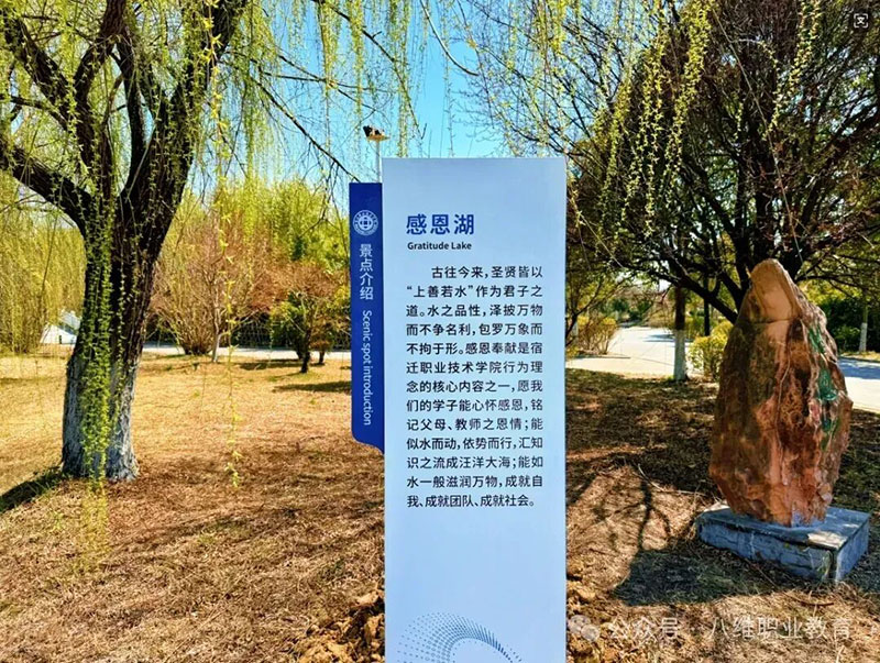 2026职场生存法则：AI不是选项，而是入场券——八维教育学校如何重塑数字时代职业竞争力