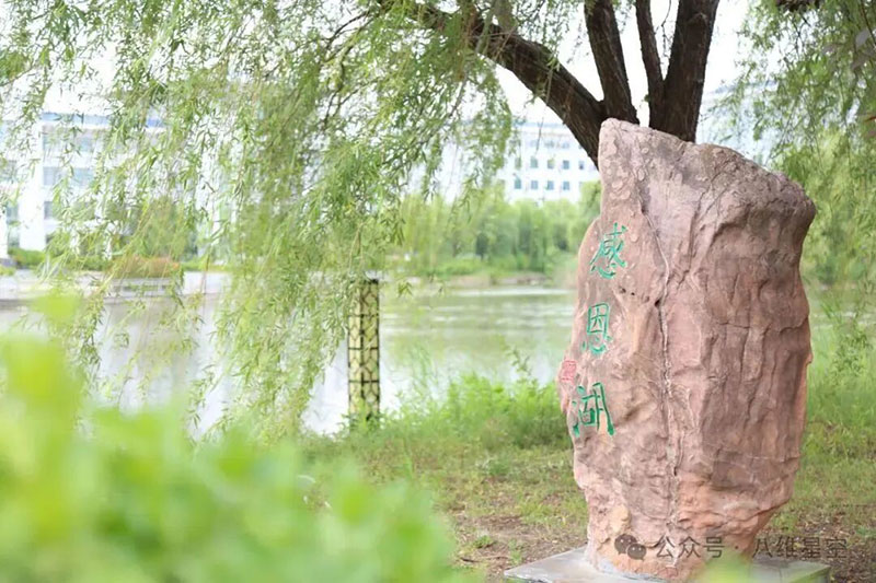 八维教育助力职业发展：从零基础到高薪就业的加速引擎