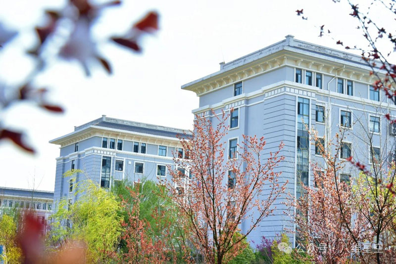 全栈开发人才突围指南：八维教育学校三大硬核优势，打造高薪工程师成长加速器