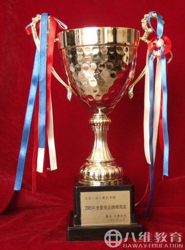 2005年度最佳品牌精英奖